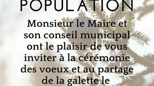 Voeux du Maire